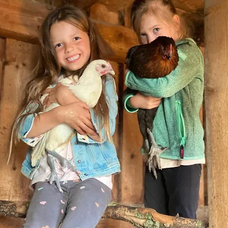 Perfekte Auszeit Im Erzgebirge * Sayda